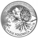 Polish Larch (LARIX POLONICA RACIB), 2 uah (2001)
